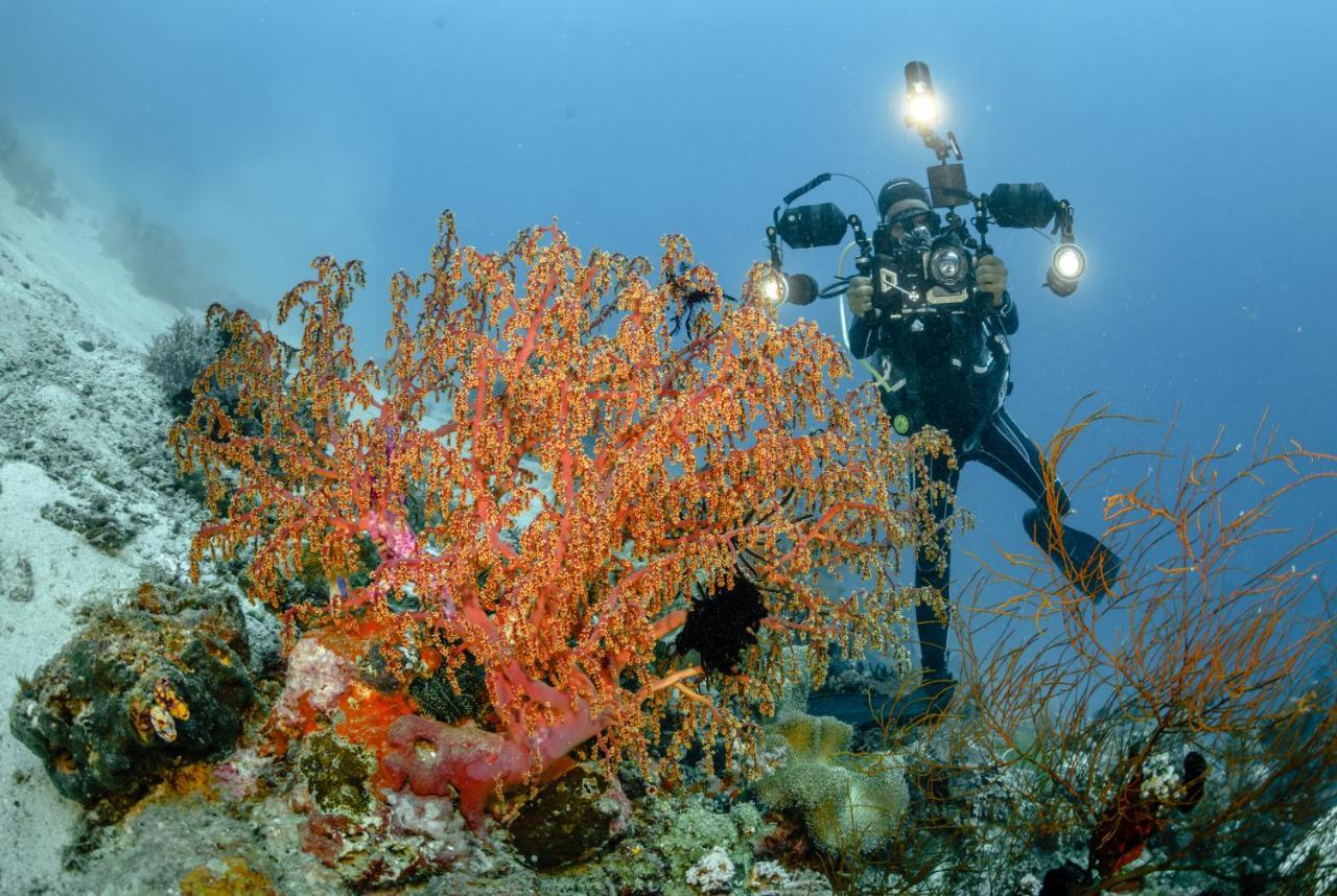 The Three P Beach Resort & Dive Center Agnay Экстерьер фото